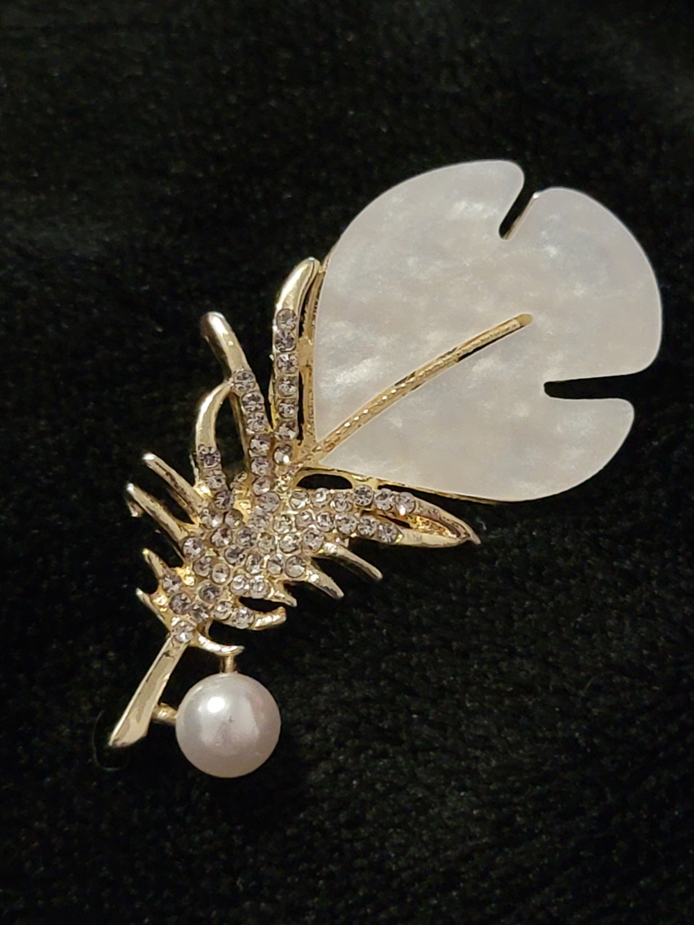 Gold Crystal Feather Brooch with Pearl Accent - White